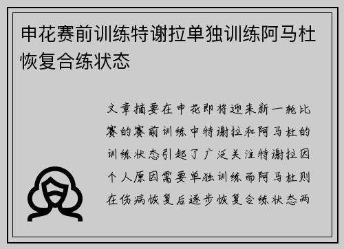 申花赛前训练特谢拉单独训练阿马杜恢复合练状态